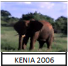 kenia